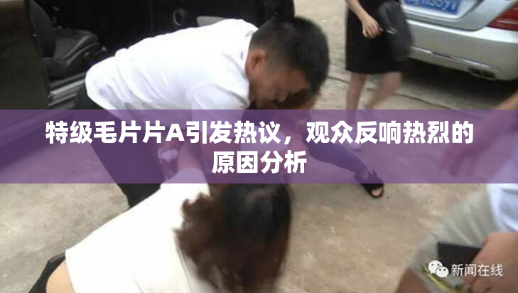 特级毛片片A引发热议，观众反响热烈的原因分析