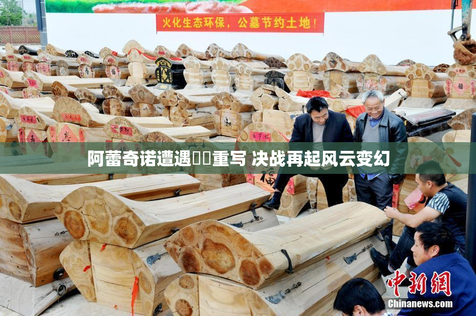阿蕾奇诺遭遇❌‌重写 决战再起风云变幻