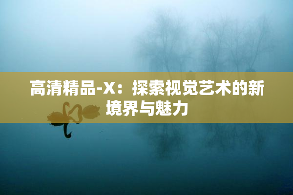 高清精品-X：探索视觉艺术的新境界与魅力