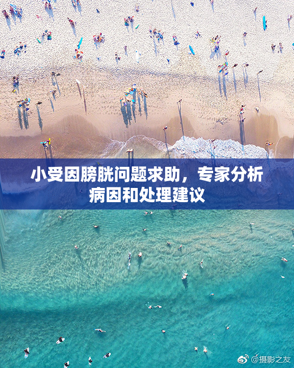 小受因膀胱问题求助，专家分析病因和处理建议
