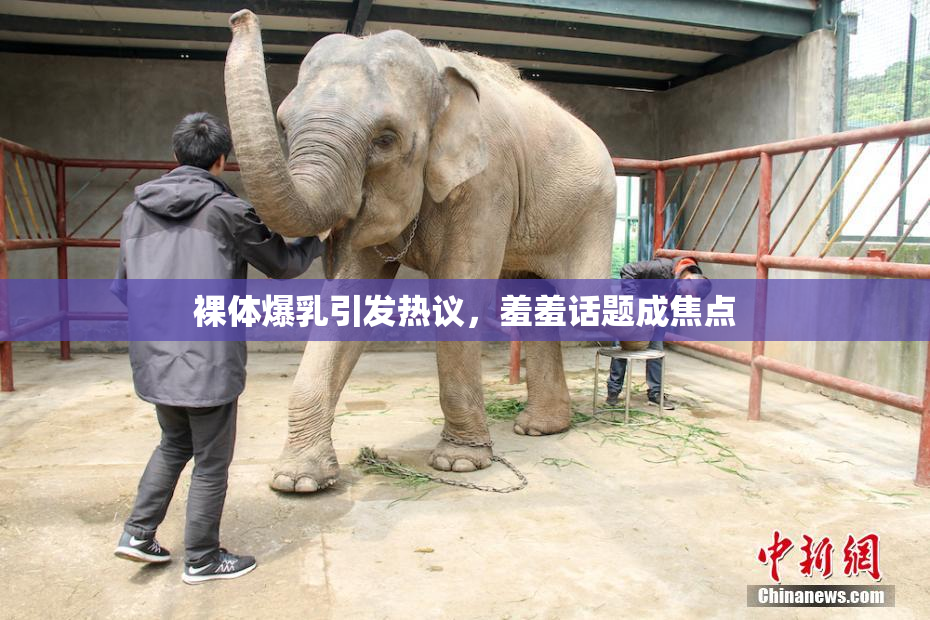 裸体爆乳引发热议，羞羞话题成焦点