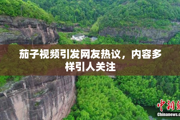 茄子视频引发网友热议，内容多样引人关注