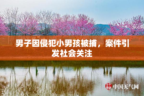男子因侵犯小男孩被捕，案件引发社会关注