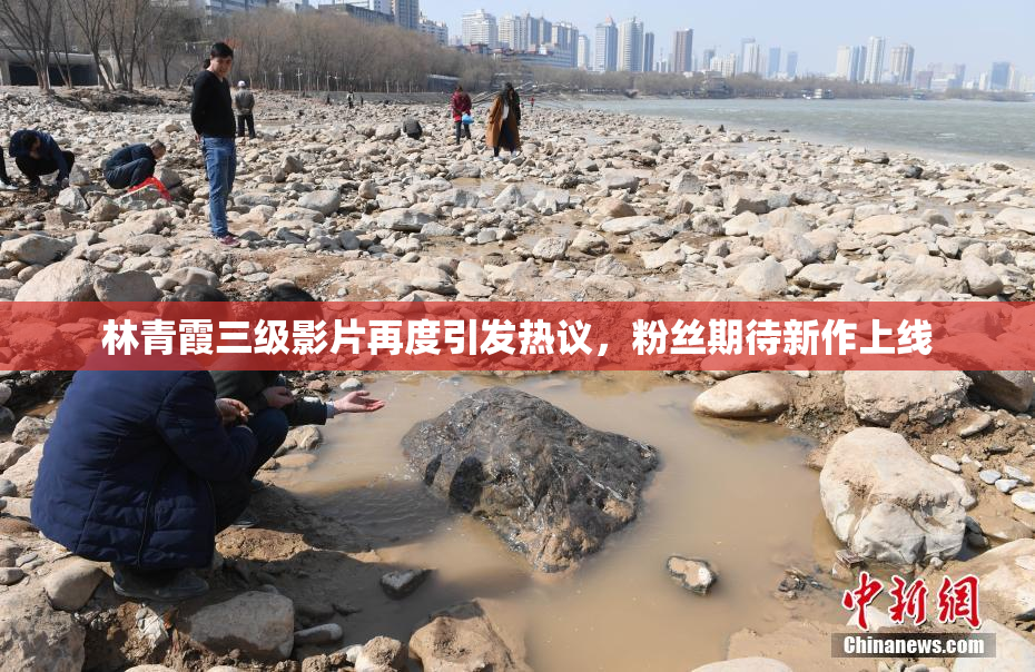 林青霞三级影片再度引发热议，粉丝期待新作上线