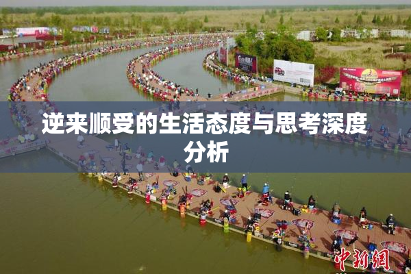 逆来顺受的生活态度与思考深度分析