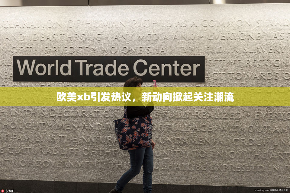 欧美xb引发热议，新动向掀起关注潮流