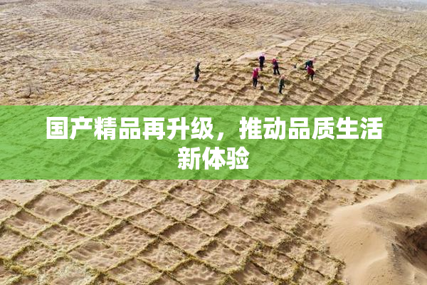 国产精品再升级，推动品质生活新体验