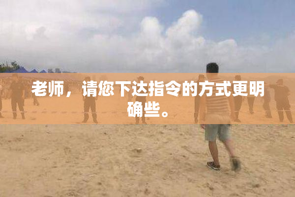 老师，请您下达指令的方式更明确些。