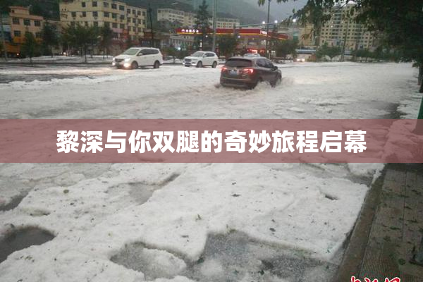 黎深与你双腿的奇妙旅程启幕