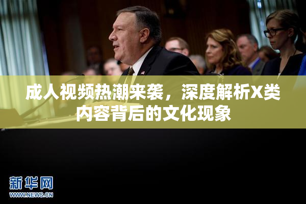 成人视频热潮来袭，深度解析X类内容背后的文化现象
