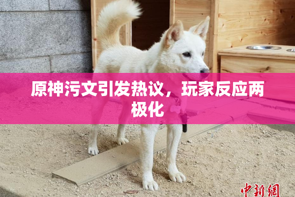 原神污文引发热议，玩家反应两极化