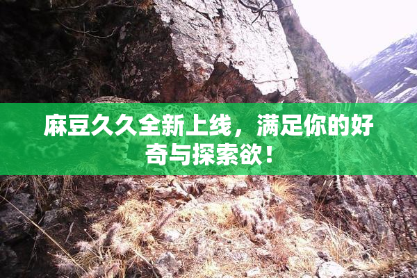 麻豆久久全新上线，满足你的好奇与探索欲！