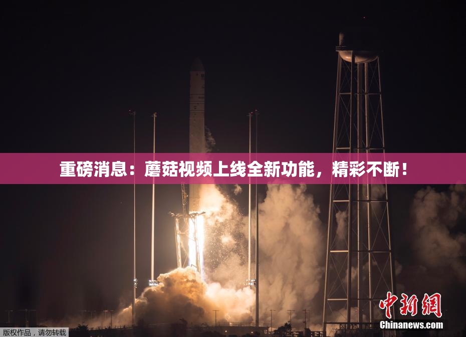 重磅消息：蘑菇视频上线全新功能，精彩不断！