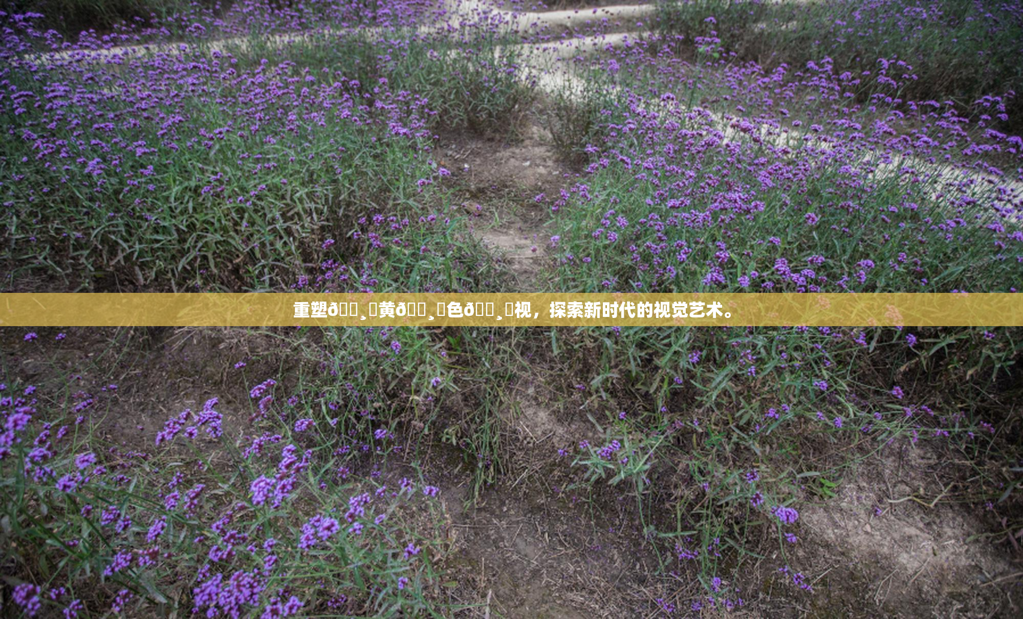 重塑🌸‌黄🌸‌色🌸‌视，探索新时代的视觉艺术。
