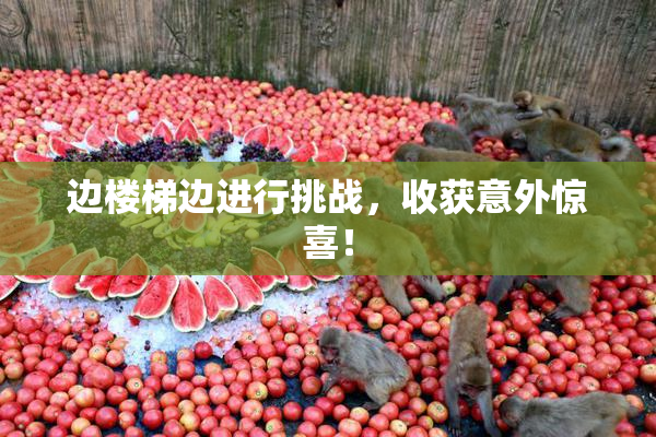 边楼梯边进行挑战，收获意外惊喜！