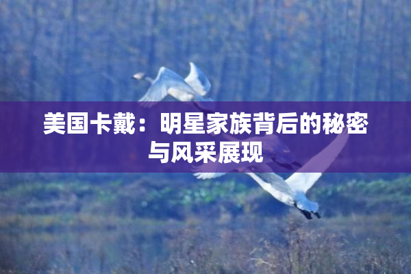 美国卡戴：明星家族背后的秘密与风采展现