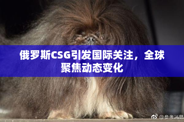 俄罗斯CSG引发国际关注，全球聚焦动态变化