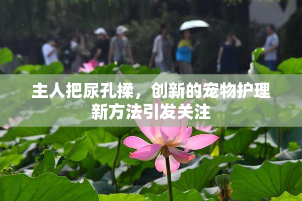 主人把尿孔揉，创新的宠物护理新方法引发关注