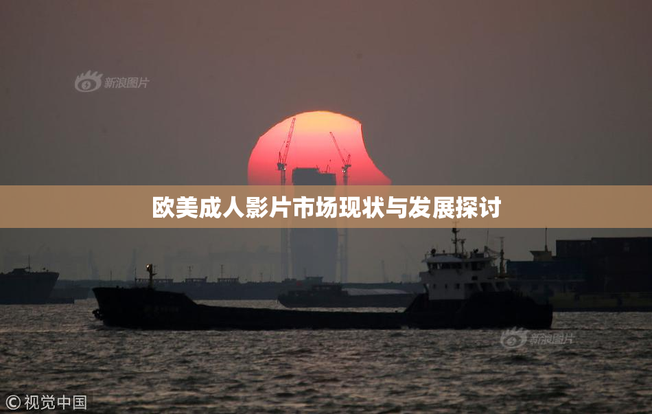 欧美成人影片市场现状与发展探讨