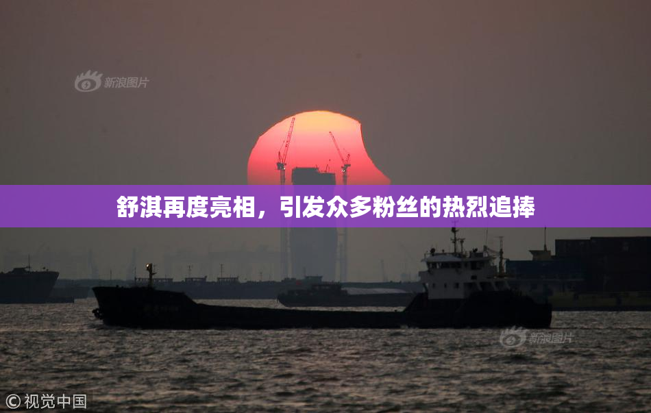 舒淇再度亮相，引发众多粉丝的热烈追捧