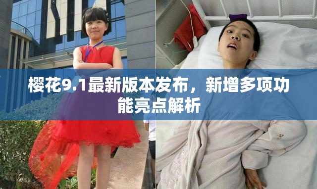 樱花9.1最新版本发布，新增多项功能亮点解析