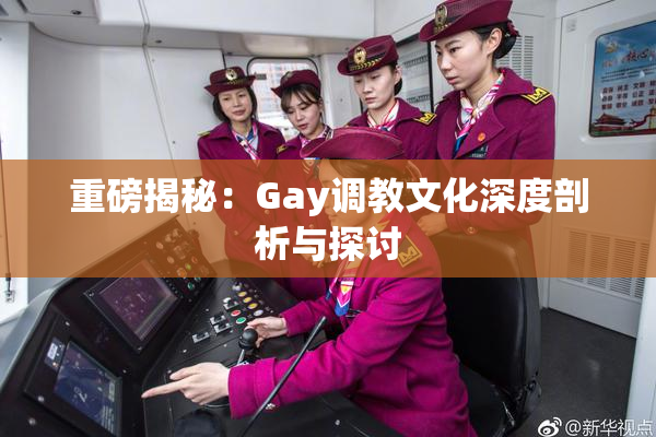 重磅揭秘：Gay调教文化深度剖析与探讨