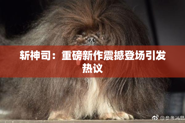 斩神司：重磅新作震撼登场引发热议
