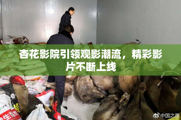 杏花影院引领观影潮流，精彩影片不断上线