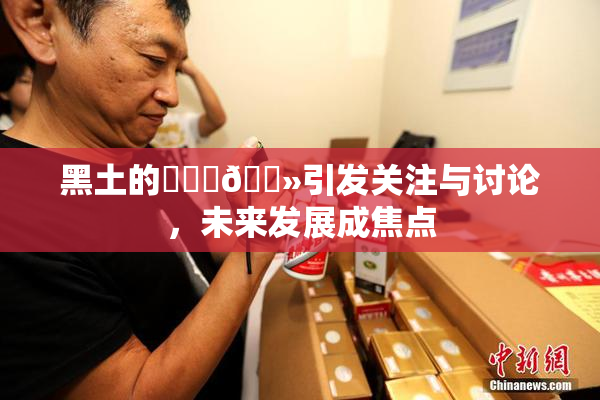黑土的❌‌‌🐻引发关注与讨论，未来发展成焦点