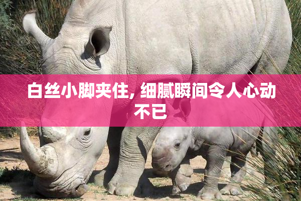 白丝小脚夹住, 细腻瞬间令人心动不已