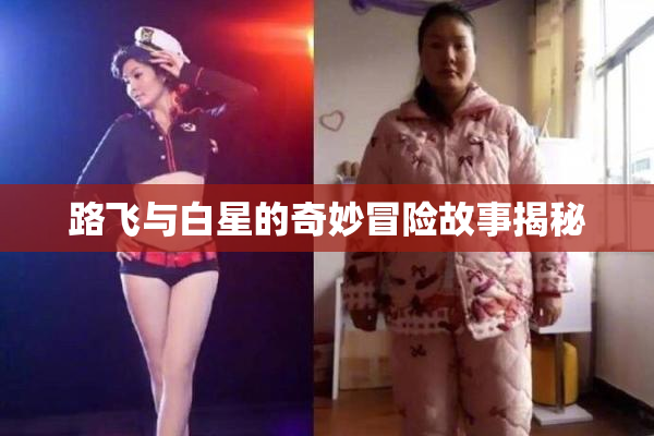 路飞与白星的奇妙冒险故事揭秘