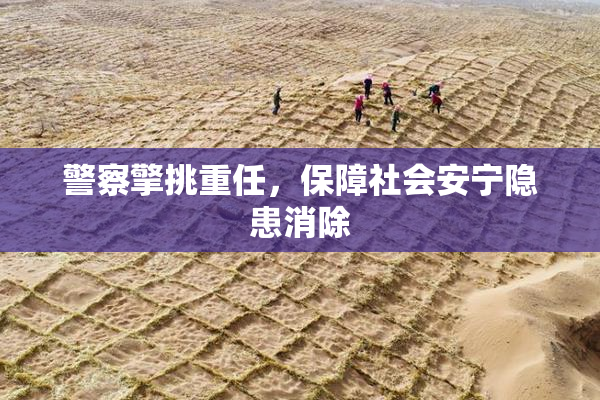 警察擎挑重任，保障社会安宁隐患消除