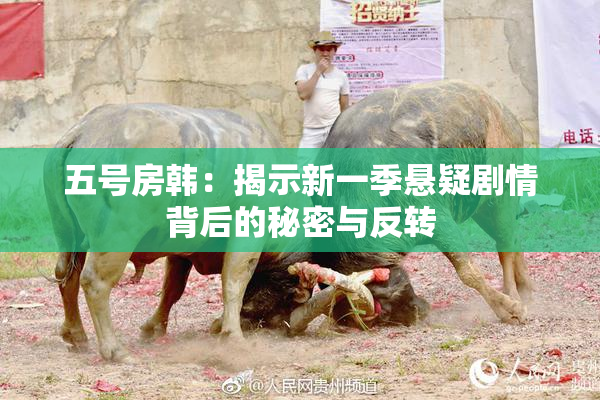 五号房韩：揭示新一季悬疑剧情背后的秘密与反转