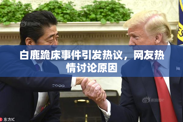 白鹿跪床事件引发热议，网友热情讨论原因
