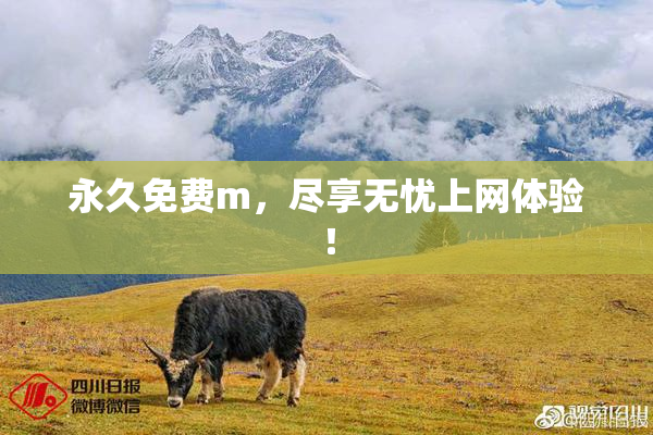 永久免费m，尽享无忧上网体验！