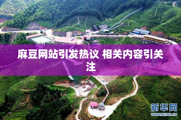 麻豆网站引发热议 相关内容引关注