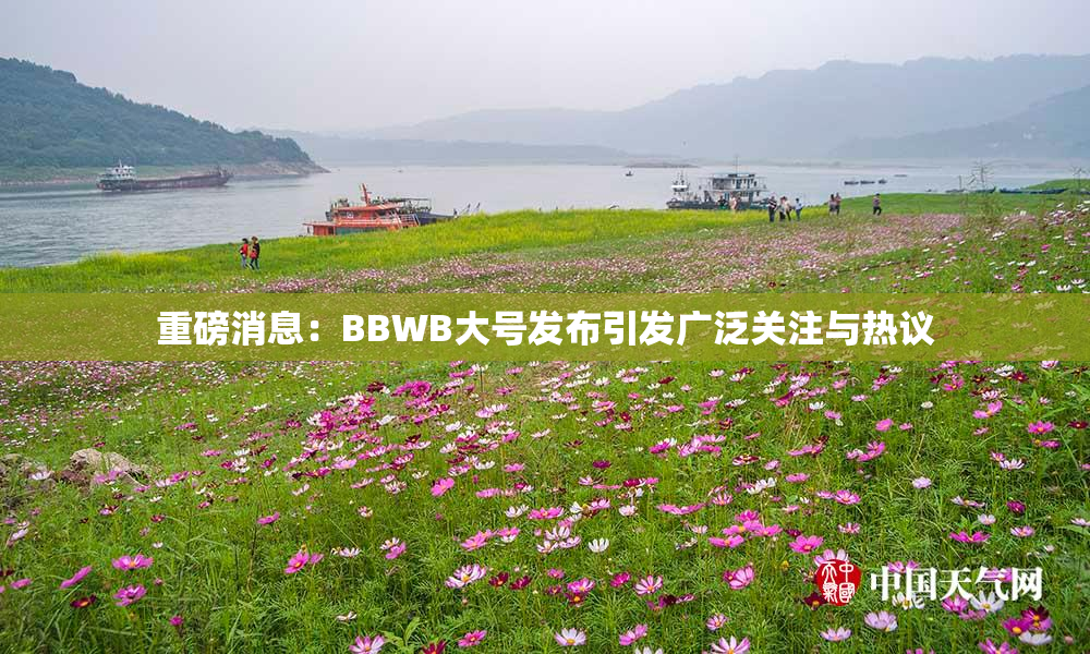 重磅消息：BBWB大号发布引发广泛关注与热议