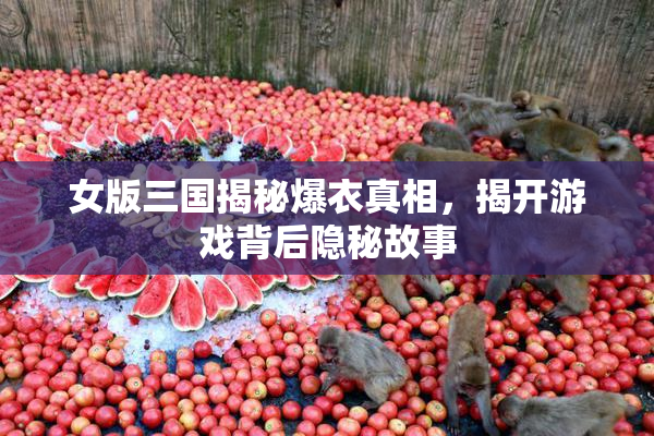 女版三国揭秘爆衣真相，揭开游戏背后隐秘故事