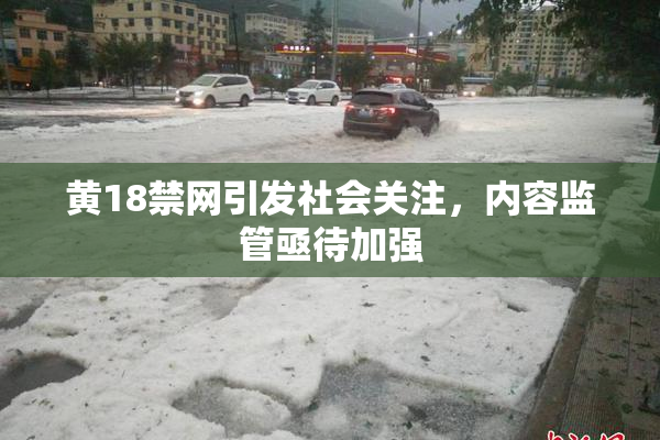 黄18禁网引发社会关注，内容监管亟待加强