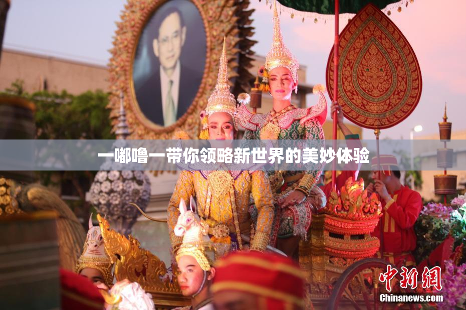 一嘟噜一带你领略新世界的美妙体验
