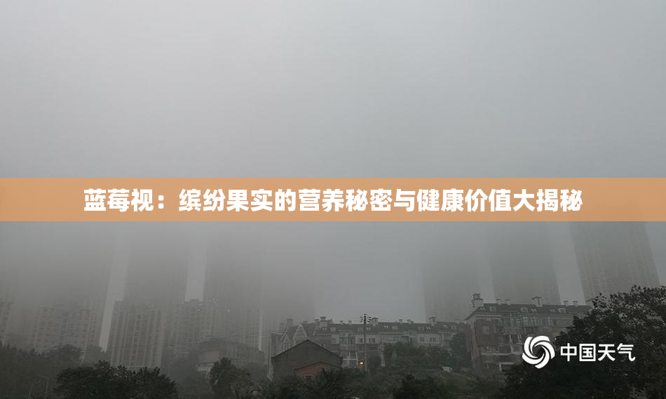 蓝莓视：缤纷果实的营养秘密与健康价值大揭秘