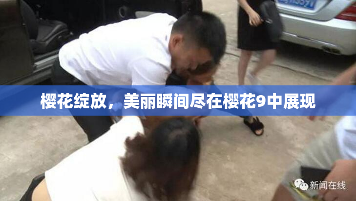 樱花绽放，美丽瞬间尽在樱花9中展现