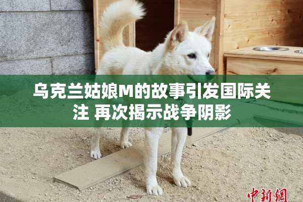 乌克兰姑娘M的故事引发国际关注 再次揭示战争阴影