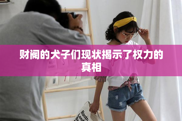 财阀的犬子们现状揭示了权力的真相