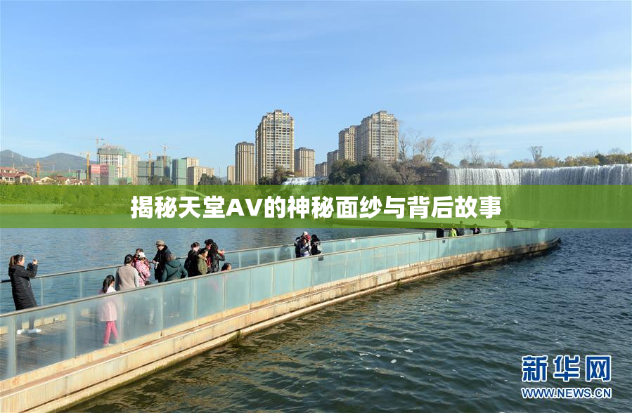 揭秘天堂AV的神秘面纱与背后故事