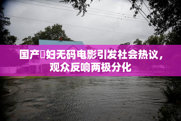 国产婬妇无码电影引发社会热议，观众反响两极分化