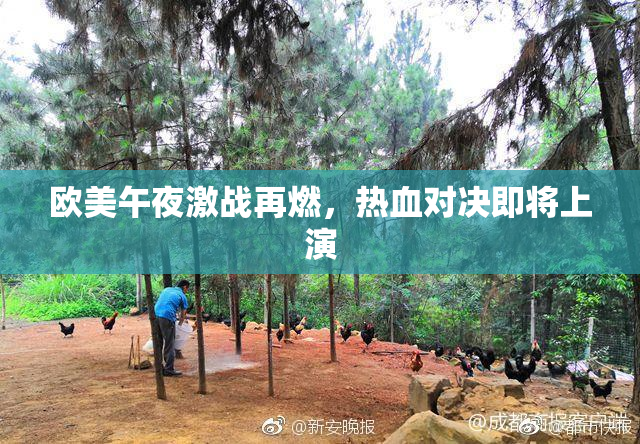 欧美午夜激战再燃，热血对决即将上演
