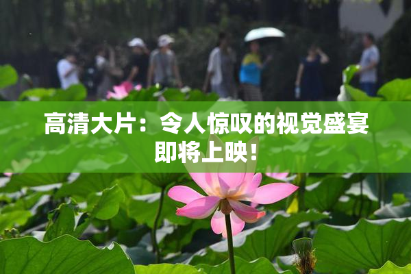 高清大片：令人惊叹的视觉盛宴即将上映！