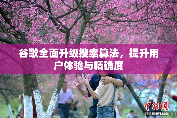 谷歌全面升级搜索算法，提升用户体验与精确度