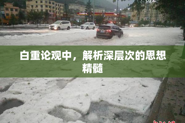 白重论观中，解析深层次的思想精髓